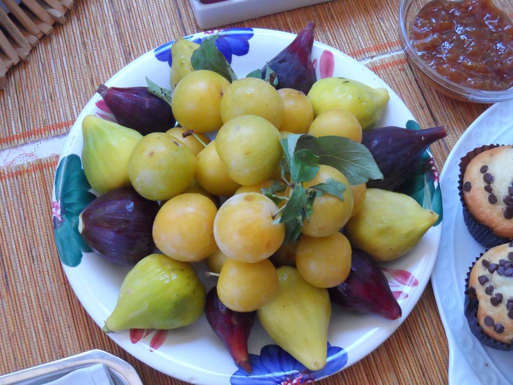 Santa Venardia